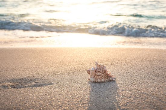[Translate to English:] Strand mit Muschel, Sonne und Wolken