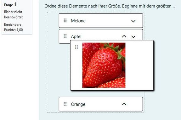 quiz_fragetyp_neu