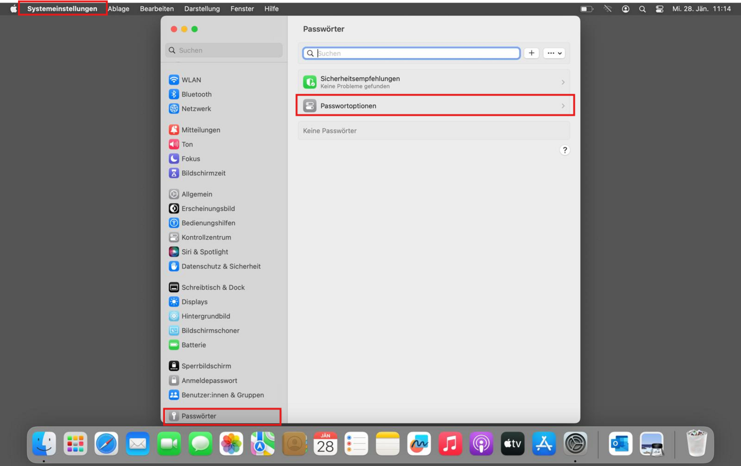 Web-Passwörter in den Systemeinstellungen prüfen