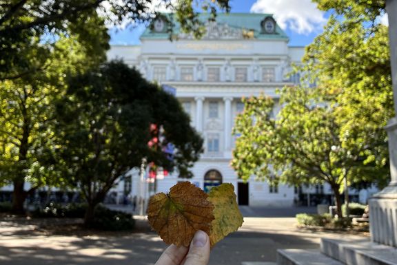 TU Wien Hauptgebäude im Hintergrund, davor Hand die zwei Blätter hochhalten, die ein Herz formen